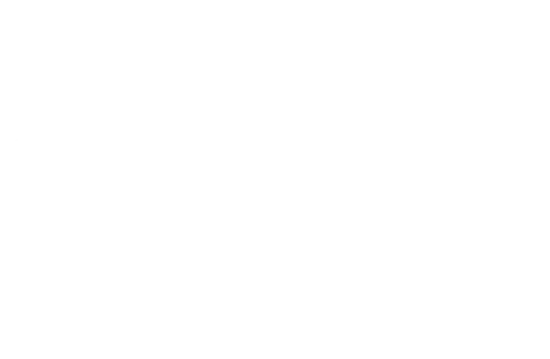 leide fit